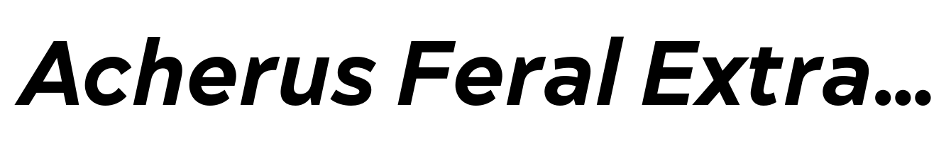 Acherus Feral Extra Bold Italic